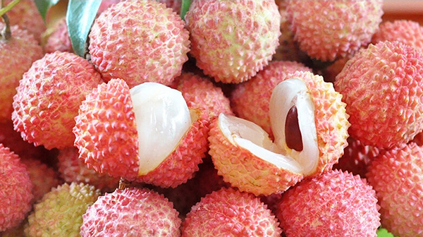 荔行朗洲，相聚東科