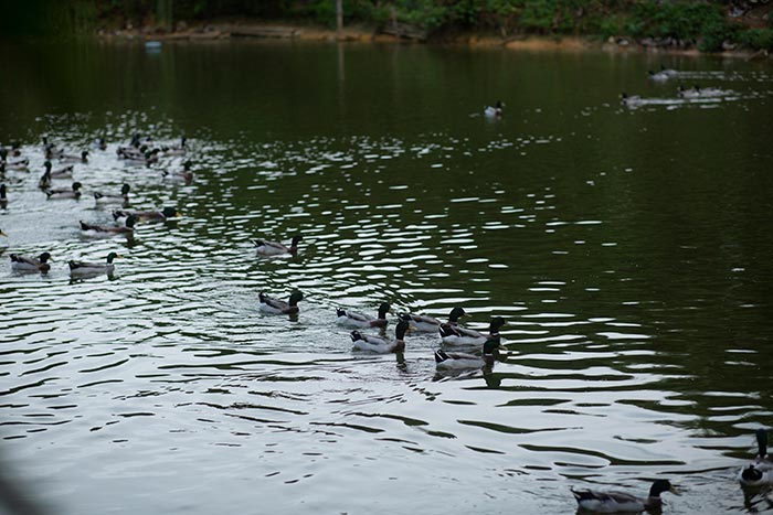 同心逐夢，溫暖同行 —— 東科集團20周年慶團建精彩回顧！