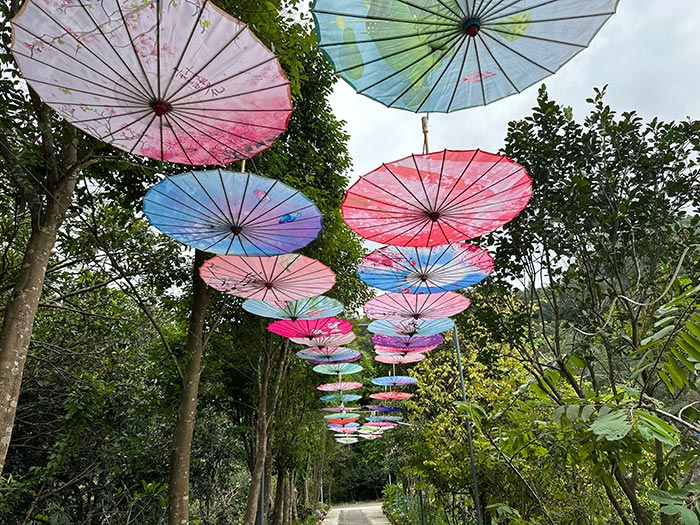 同心逐夢，溫暖同行 —— 東科集團20周年慶團建精彩回顧！