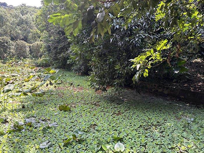 同心逐夢，溫暖同行 —— 東科集團20周年慶團建精彩回顧！