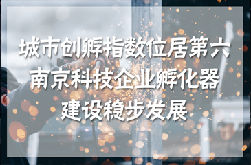 城市創(chuàng)孵指數(shù)位居第六 南京科技企業(yè)孵化器建設(shè)穩(wěn)步發(fā)展