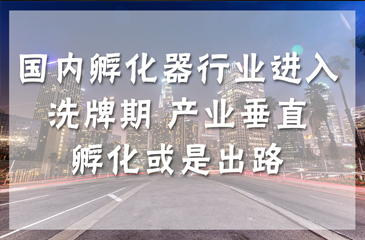 國內(nèi)孵化器行業(yè)進(jìn)入洗牌期 產(chǎn)業(yè)垂直孵化或是出路