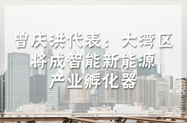 曾慶洪代表：大灣區(qū)將成智能新能源產(chǎn)業(yè)孵化器